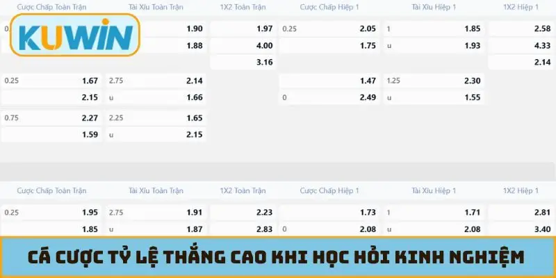 Cá cược tỷ lệ thắng cao khi học hỏi kinh nghiệm chuyên gia