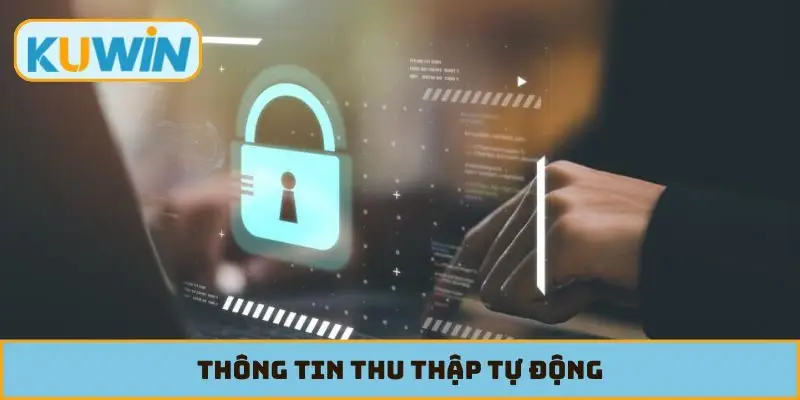 Thông tin thu thập tự động